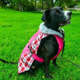 Alpine All-Weather Dog Coat - Raspberry Plaid (Option: X-Small)